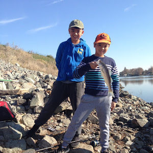 Meet your Posher, Minh